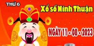 Thống kê XSNT ngày 11/8/2023 đài Ninh Thuận thứ 6 hôm nay chính xác nhất