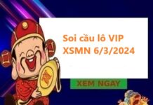Soi cầu lô VIP XSMN 6/3/2024