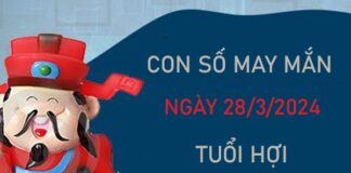 Con số may mắn tuổi Hợi 28/3/2024 thống kê số đẹp